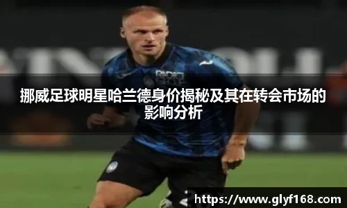 挪威足球明星哈兰德身价揭秘及其在转会市场的影响分析